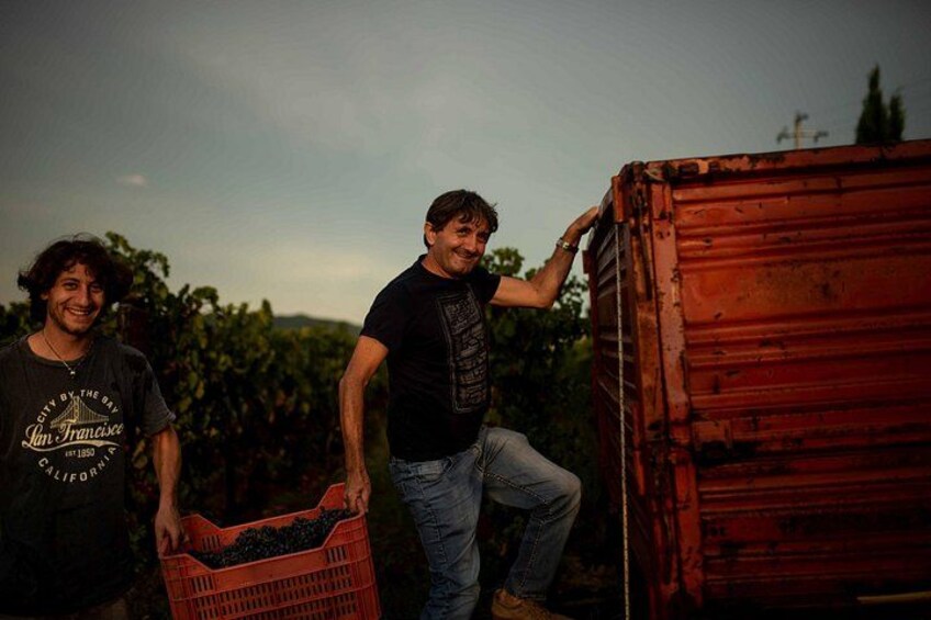 Wine Tasting and Estate Tour in Bolgheri 5