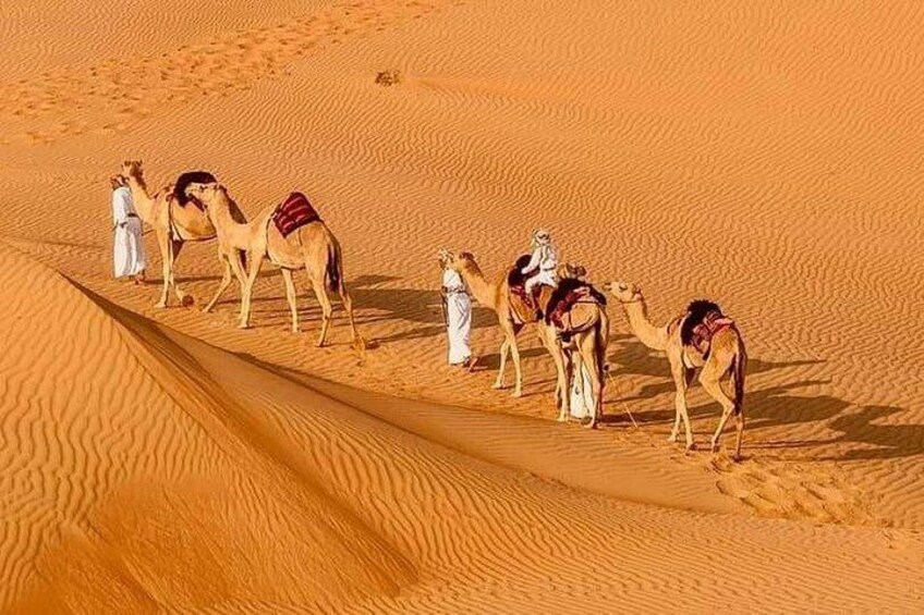 A group of camels with riders in a desert landscape. 5