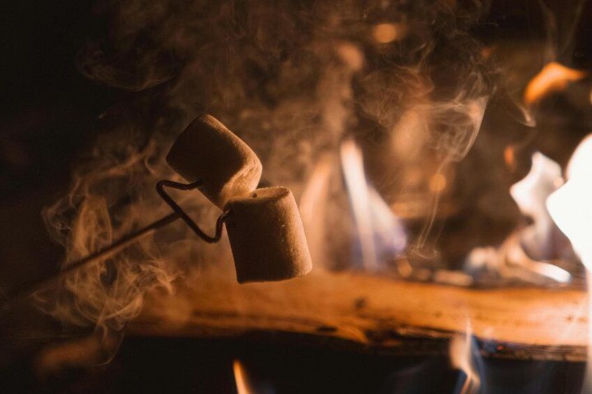 A marshmallow roasting over a fire. 1
