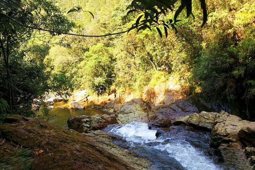 Un ruisseau aux berges rocheuses, bordé d’une forêt dense. 4