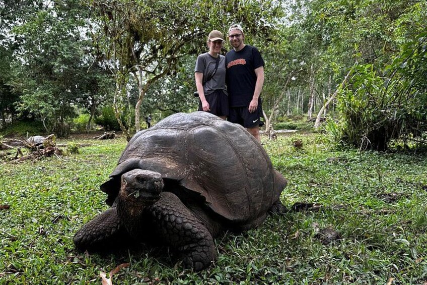 A large tortoise on the ground with two people standing behind it in a forested area. 3