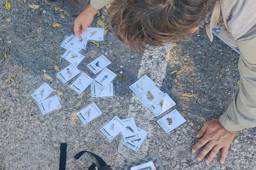 Using a "deck of sounds" 4