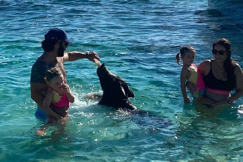 4 Hour Rose Island Private Tour Beaching Snorkeling Turtles 3