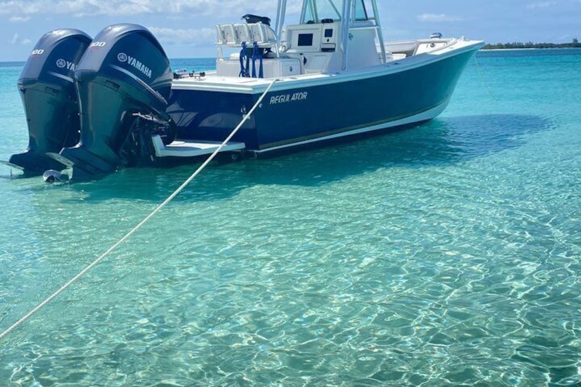 4 Hour Rose Island Private Tour Beaching Snorkeling Turtles 1