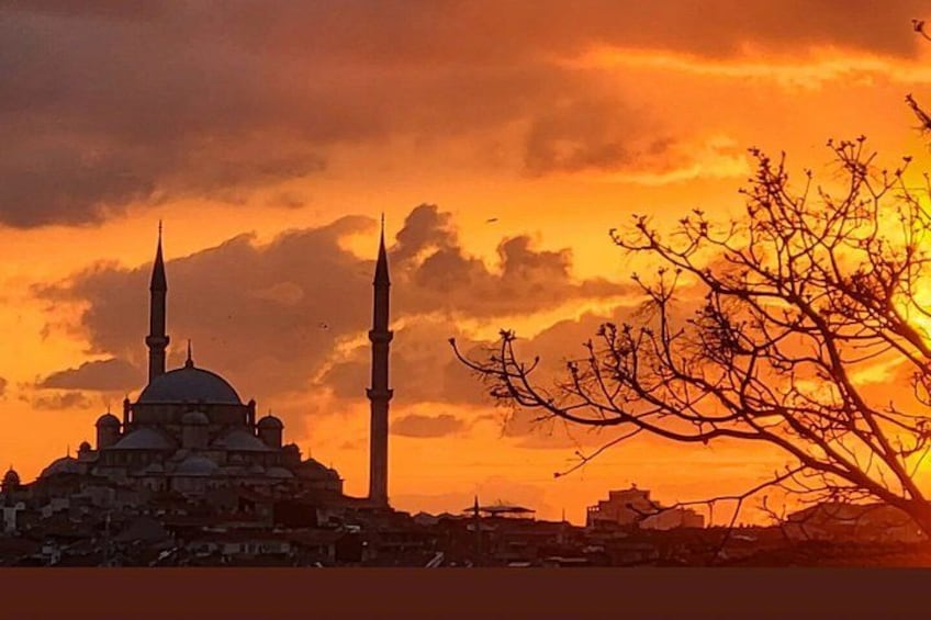 En moské med to minareter, et træ og en solnedgang. 1