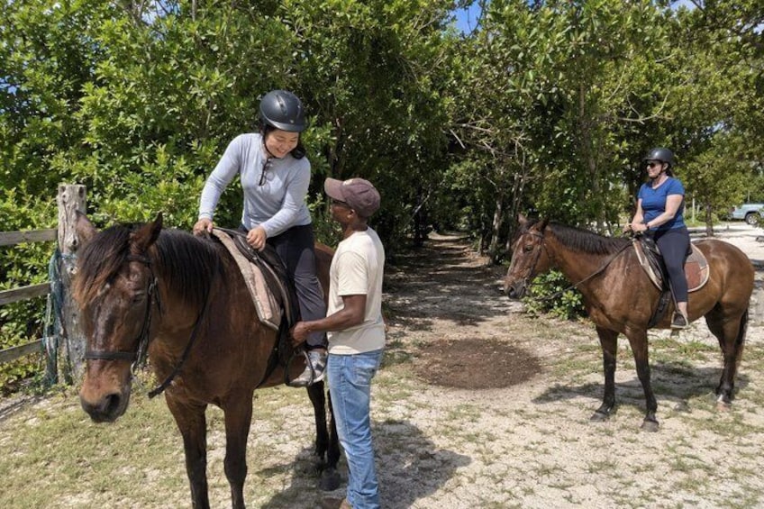 Bahamas, Beach Horseback Riding & Ocean Swim Experience 2