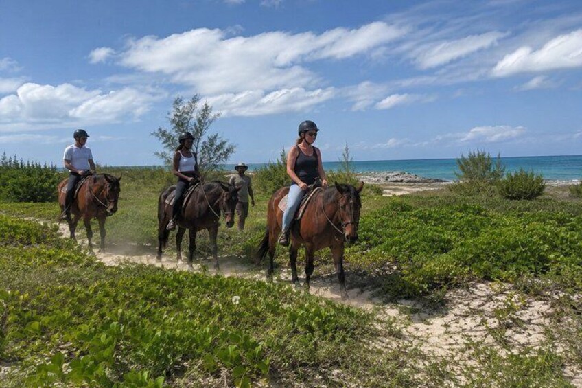Bahamas, Beach Horseback Riding & Ocean Swim Experience 4