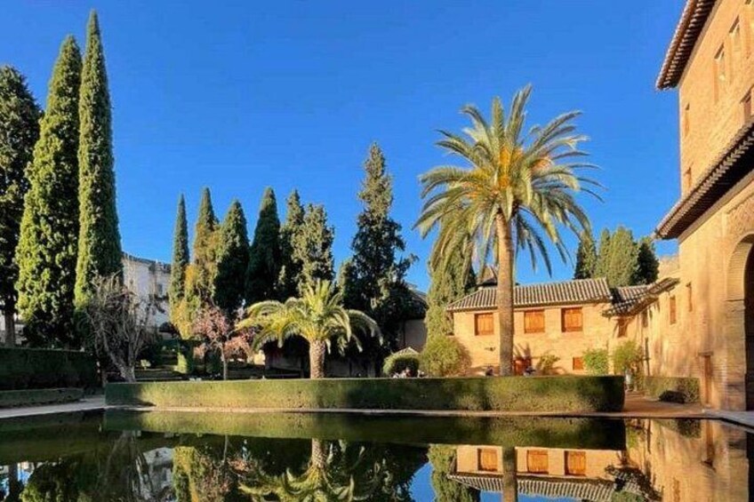 A courtyard with a fountain, palm trees, cypress trees, and a building with a tiled roof. 4