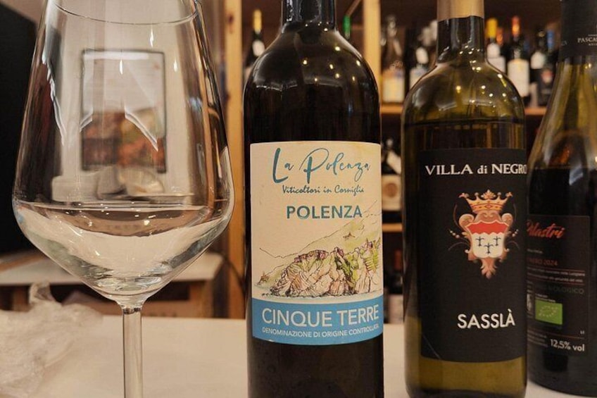 Selection of fine local wines from Cinque Terre and Colli di Luni 4
