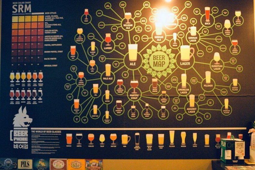 Explore Craft Beer at Beer Phobe Tasting Class in Busan 2