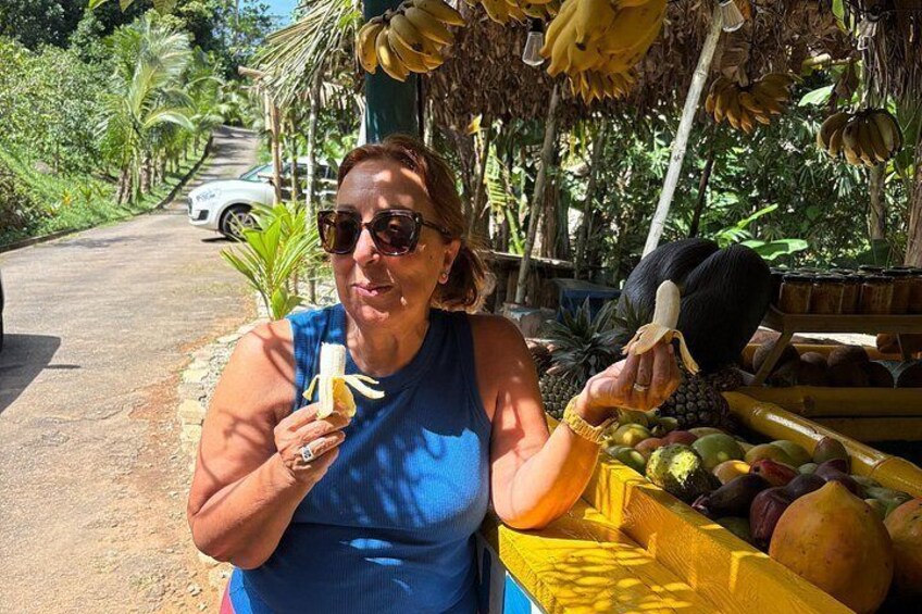 Perfect destination for people who enjoy organic tropical fruit. 2