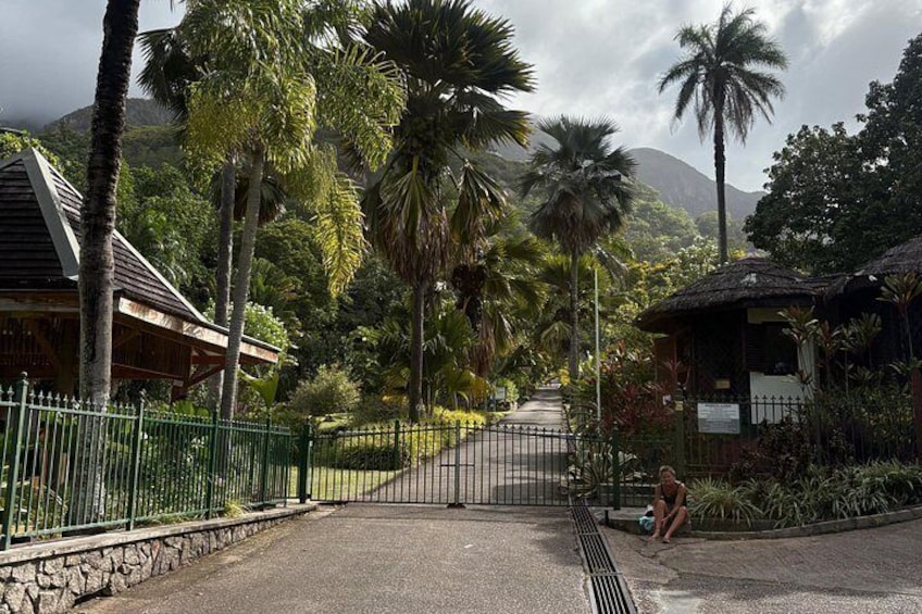 Seychelles Botanical Garden 3