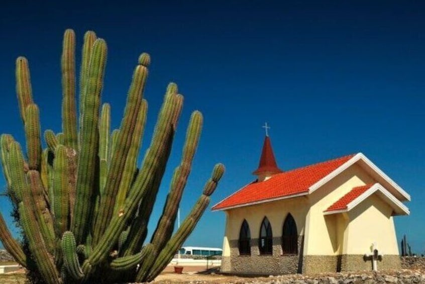 Private Tour in Aruba Natural pool and Turtle Viewing 3