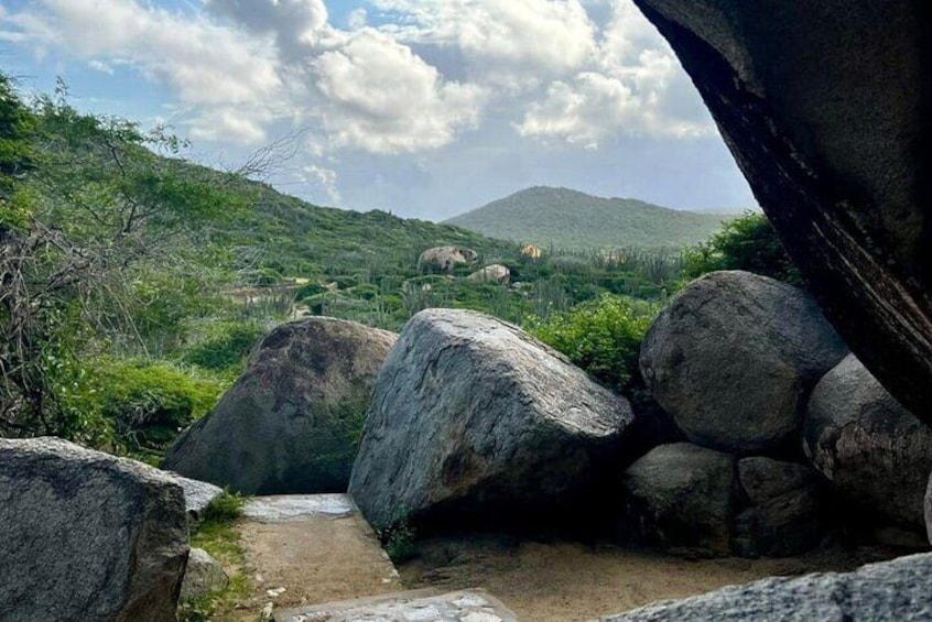 Private Tour in Aruba Natural pool and Turtle Viewing 4