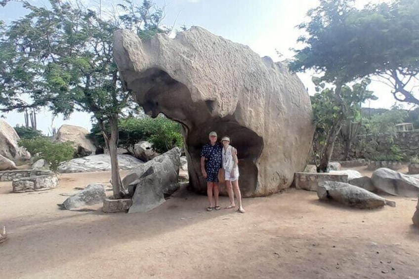 Private Tour in Aruba Natural pool and Turtle Viewing 5