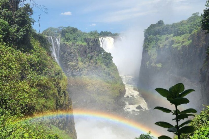 Une cascade surmontée d’un arc-en-ciel, entourée d’une végétation luxuriante. 2