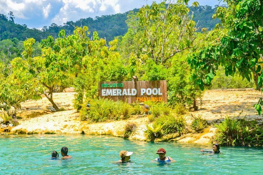 Krabi Jungle Escape Emerald Pool and Hot Springs Tour 1