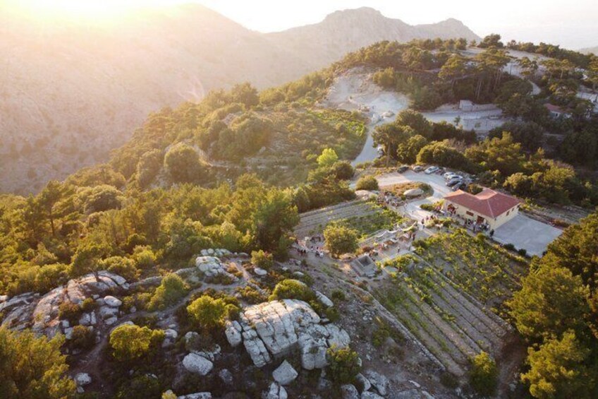 Classic Tour & Natural Wine Tasting (Private) 1
