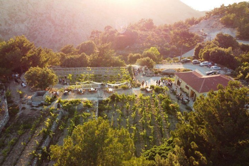 Taste Natural Wines and Tour Afianes' Unique Winery 3