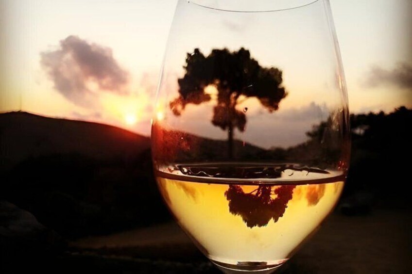 Classic Tour & Natural Wine Tasting (Private) 2