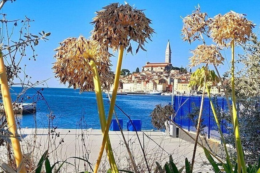 Une ville côtière avec un clocher d’église imposant, une mer d’un bleu éclatant et des plantes séchées au premier plan. 3
