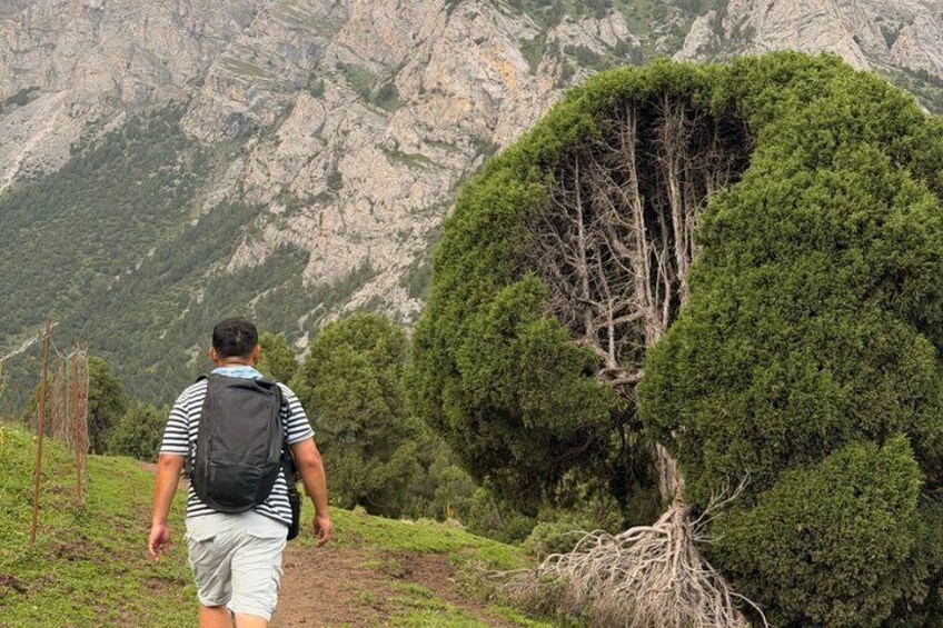 2-Day Kichi Alay Mountain Hiking Tour with Overnight Stay 5