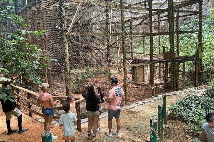 A group of people observing birds in a zoo enclosure. 5