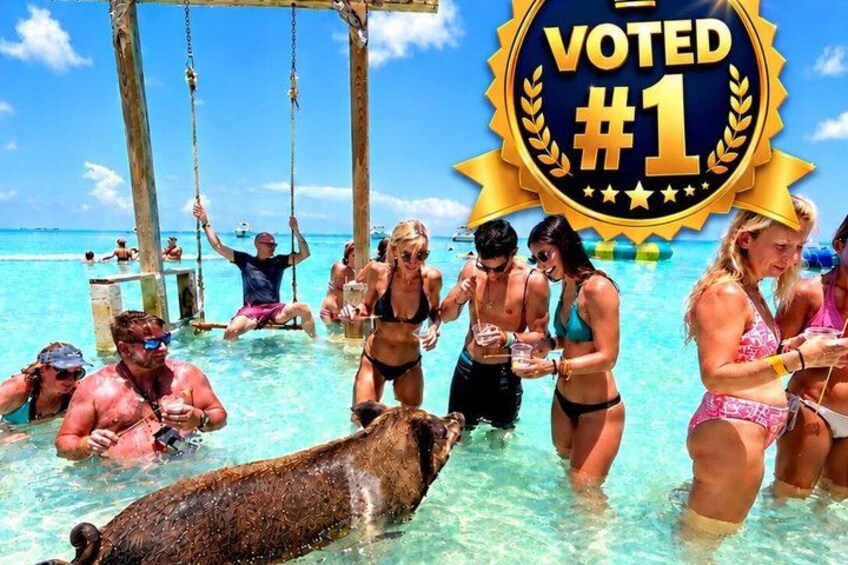 Escena de playa tropical con gente en el agua, un columpio de madera y una gran tortuga marina. 1
