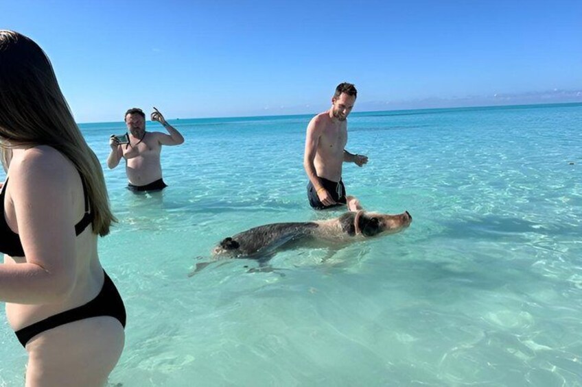 007 Private Beach Club Swimming Pigs Snorkeling Lunch Drinks 4