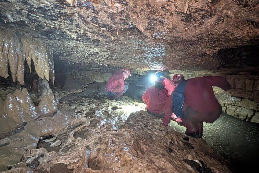 Une grotte ornée de stalactites et de stalagmites. 5