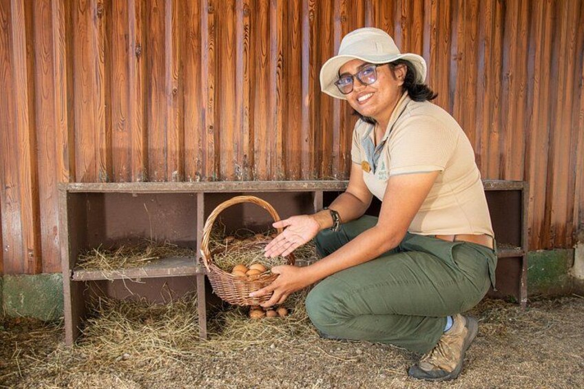 Immerse in the Circular Economy: Educational Nature Tour 1