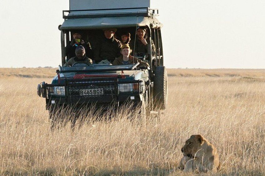 A safari vehicle with passengers and a dog in a grassy field. 2