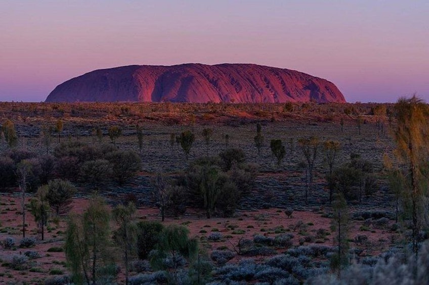 Uluru at sunset with sparse vegetation in the foreground. 4