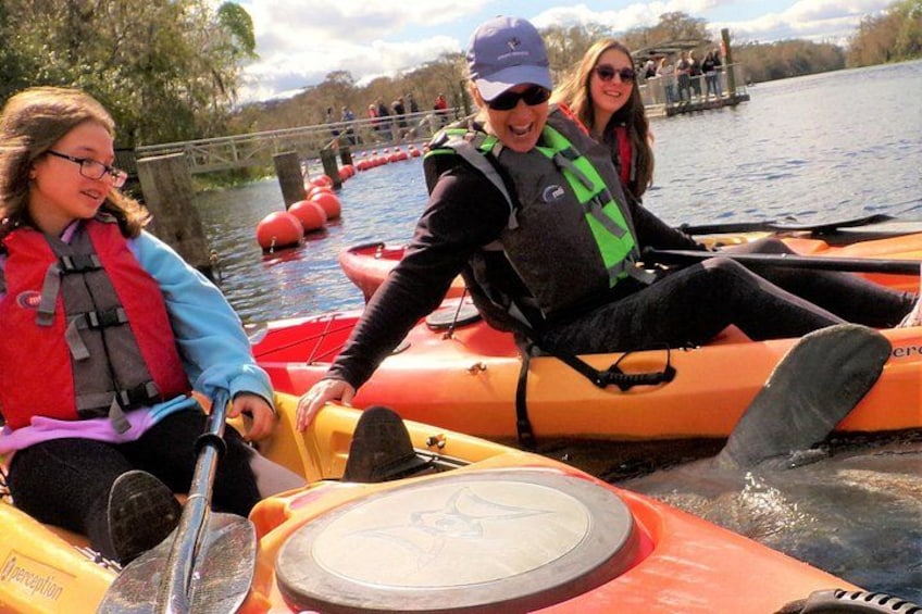 Blue Springs Kayak & Swim Wildlife Adventure 1