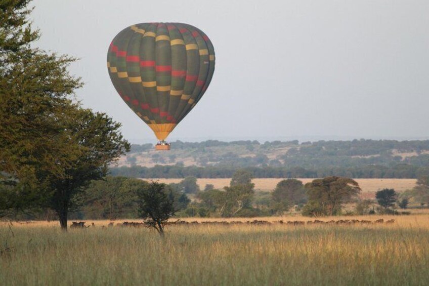 A hot air balloon over a grassy field with trees and distant hills. 5
