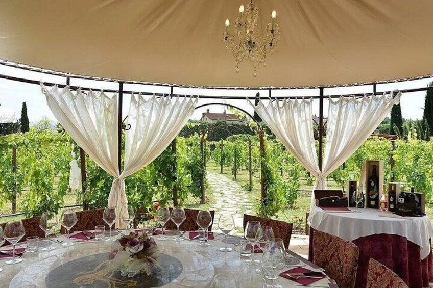 Pisa o Livorno to San Gimignano and Siena Tour &Wine Tasting 5
