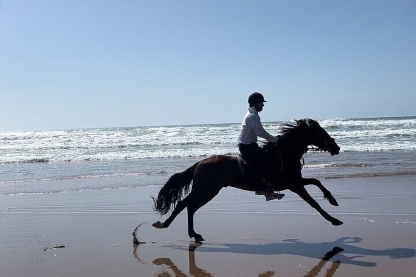Una persona monta a caballo en una playa con olas al fondo. 2