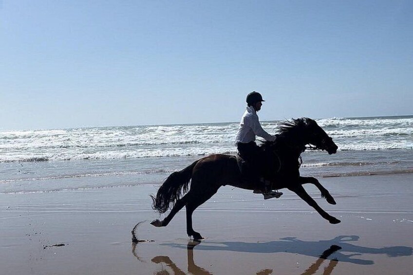 Horse galloping Essaouira beach 2