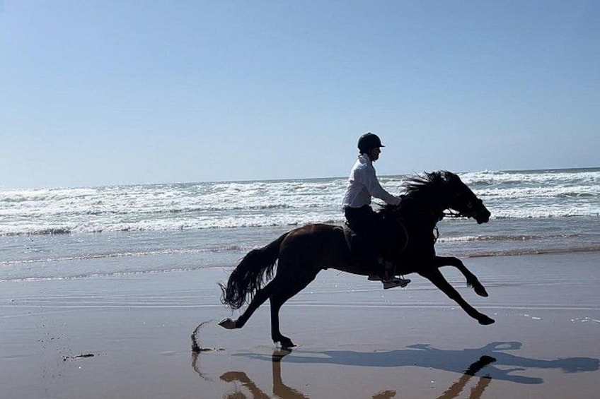 Horse galloping Essaouira beach 3
