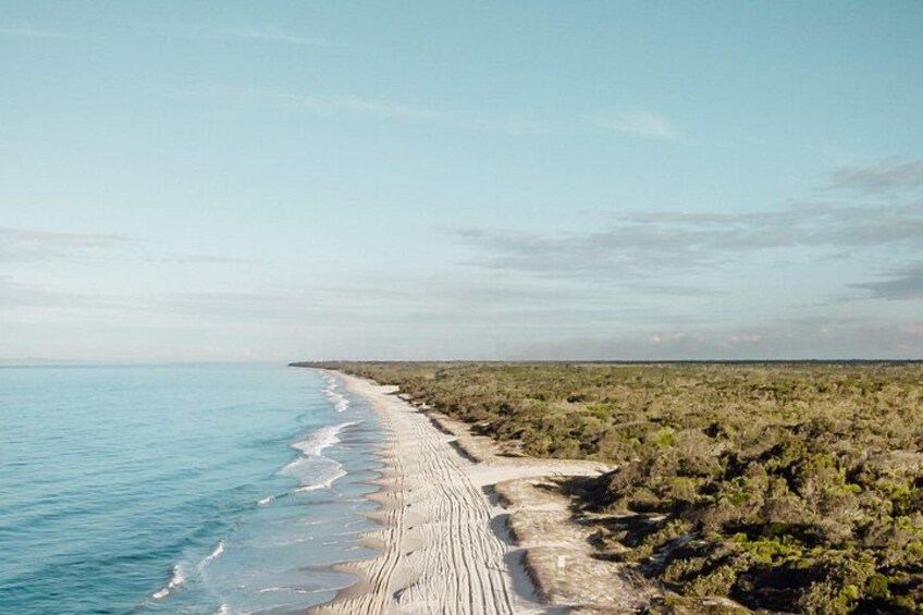 A coastal landscape with a sandy beach, ocean, and sparse vegetation. 3