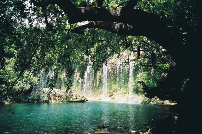 A forested area with a waterfall and a clear blue pond. 3