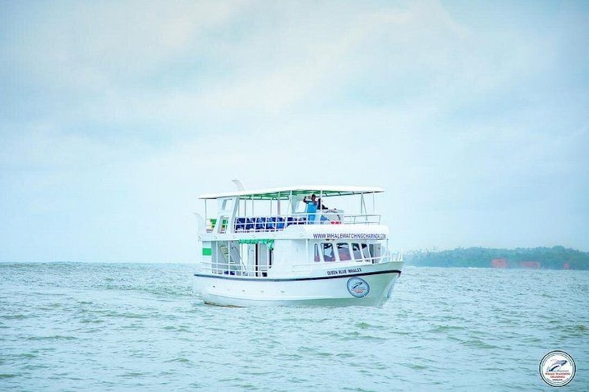 Whale Watching Mirissa Ultimate Tour in Sri Lanka with Breakfast 3