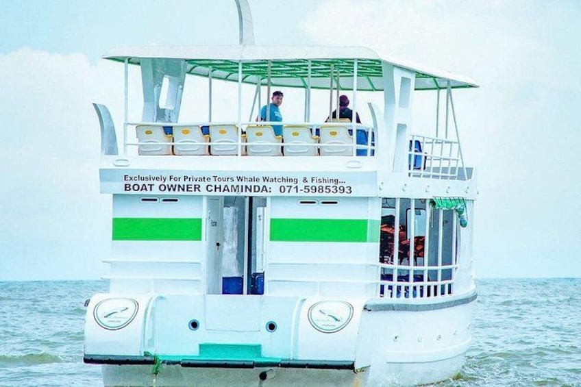 Whale Watching Mirissa Ultimate Tour in Sri Lanka with Breakfast 2