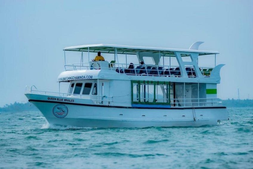 Whale Watching Mirissa Ultimate Tour in Sri Lanka with Breakfast 4