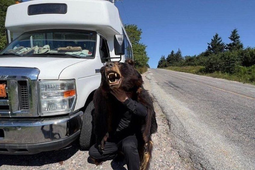 A white truck parked on a road with a bear standing next to it. 4