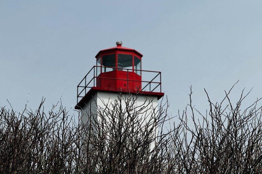 Fundy Shore Tour 2