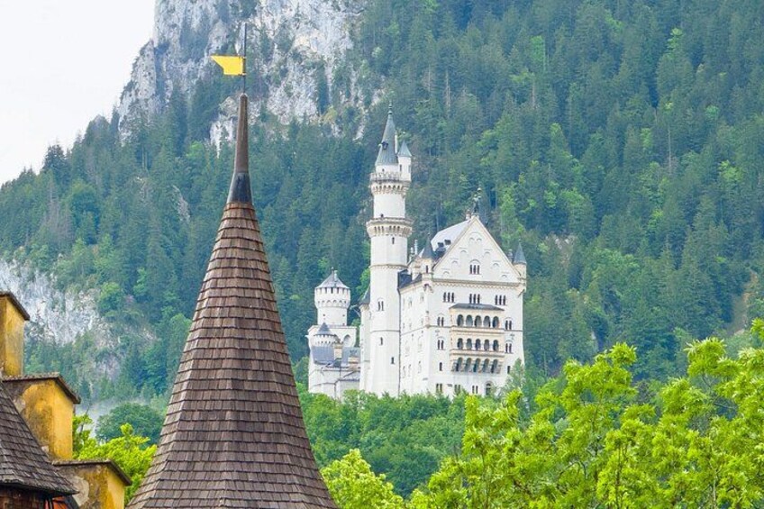 Munich Neuschwanstein Private Half-Day Tour with Tour Guide 3