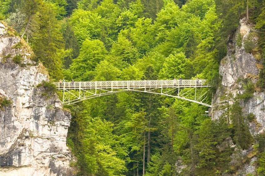 Munich Neuschwanstein Private Half-Day Tour with Tour Guide 5