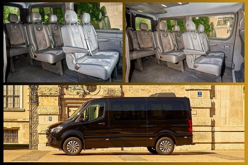 Neuschwanstein tour Mini Bus up to 8 Pax 5
