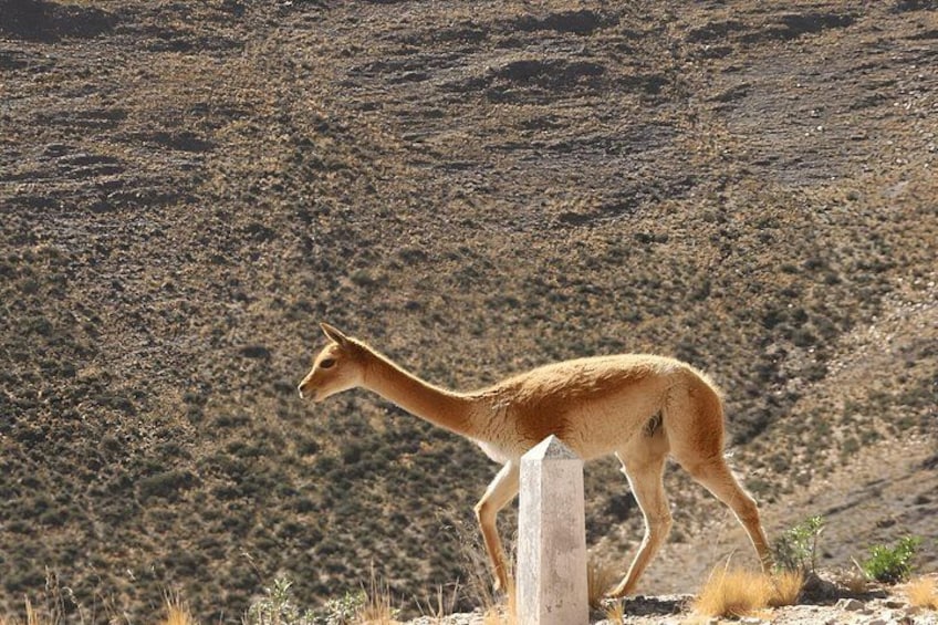 Humahuaca and Salinas Grandes in Two Full Days 3